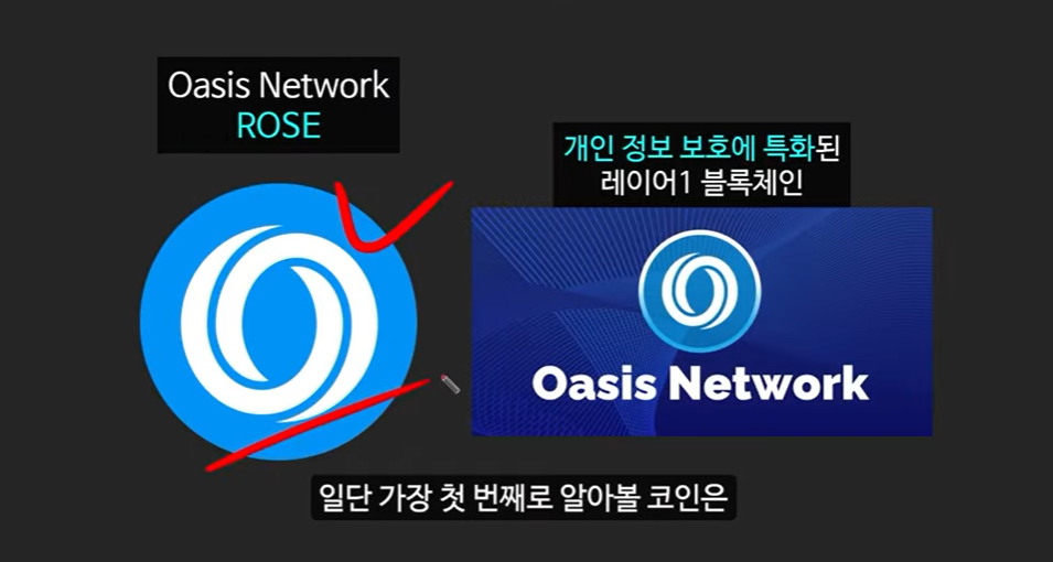 AI 메타 속 주목받는 3대 AI 코인: 로즈, 에이더, 페치 AI의 급등 근거