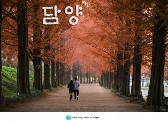 가을 전라도 가볼만한곳 베스트 10을 한눈에_8