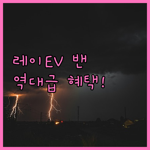 레이 EV 2WD 14인치 밴 보조금..