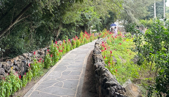 제주 곶자왈 숲길