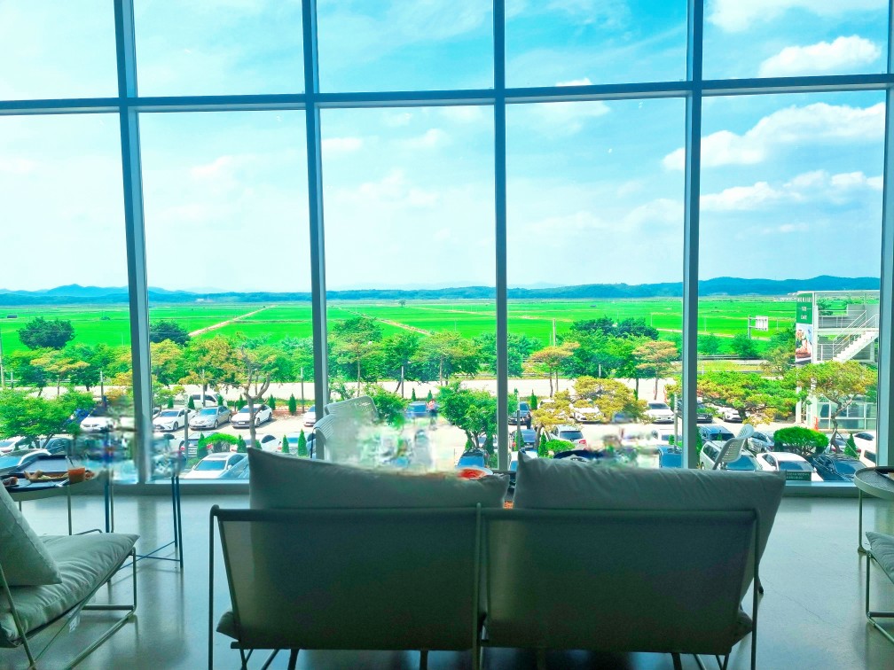 팔방미인 파주 문지리 535 카페 매력 포인트: 드넓은 논밭 뷰와 초록을 담은 실내 식물원