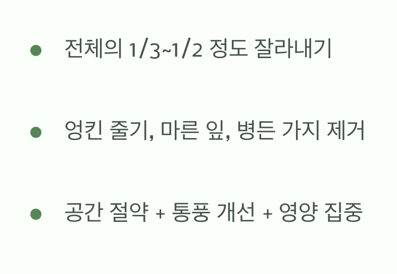 겨울맞이 이발, '가지치기'