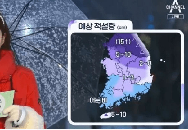 기상캐스터