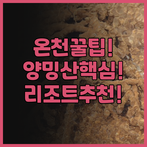 양 밍 샨 티엔 라이 리조트 & 스파..