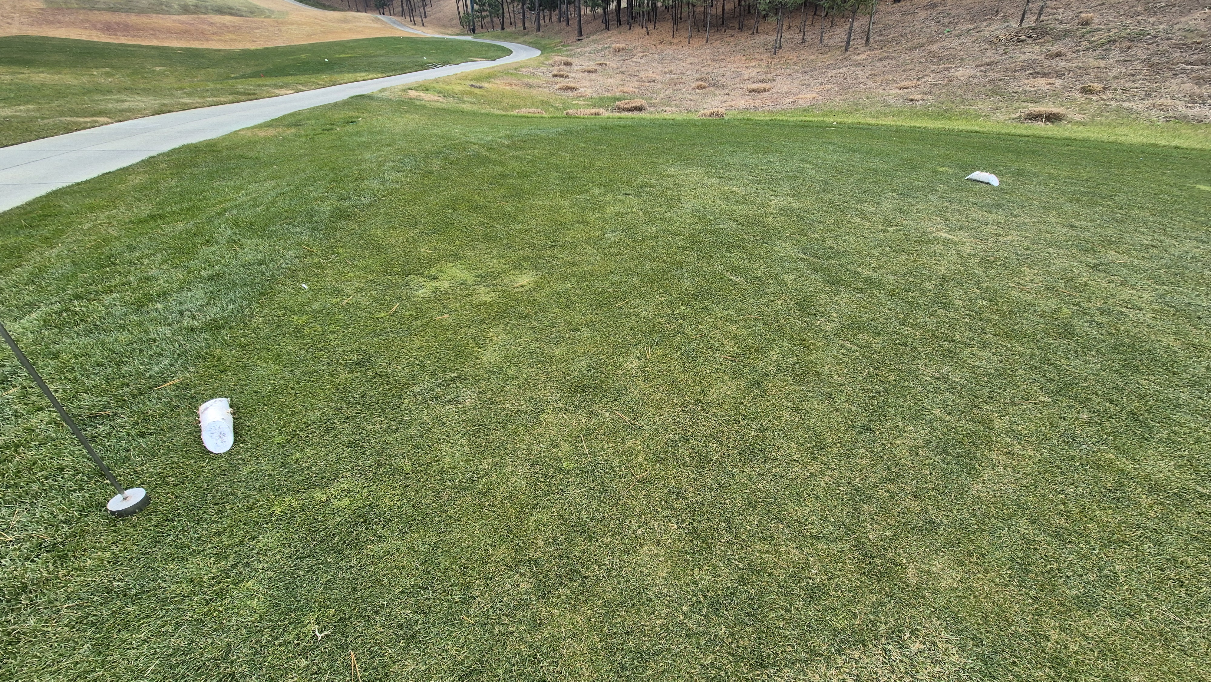 더헤븐cc 사우스-웨스트 코스 티잉구역 상태