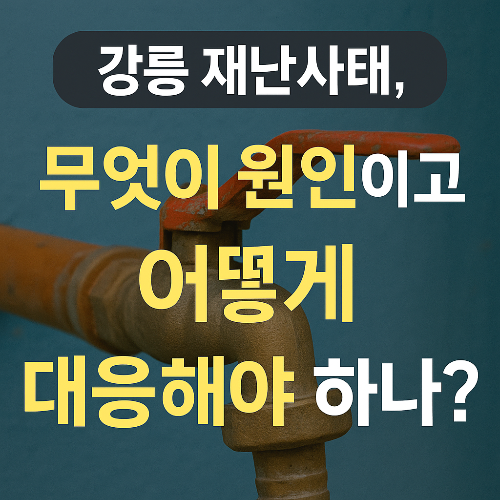 강릉 재난