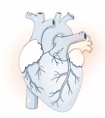 왼쪽 가슴 통증 원인