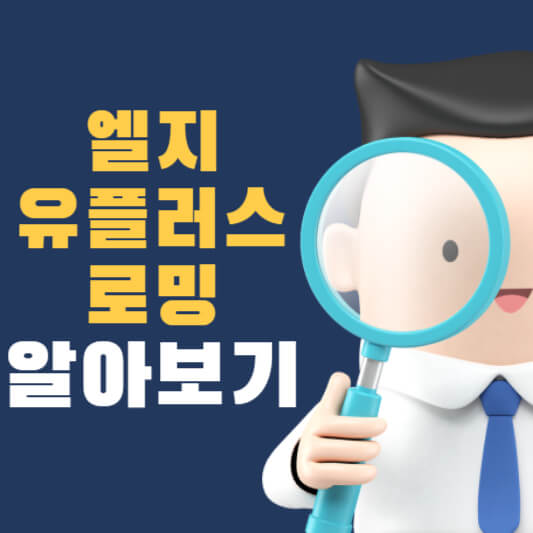 엘지 유플러스 로밍