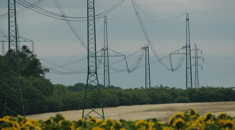 전선 피복 손상 진단법 및 대응