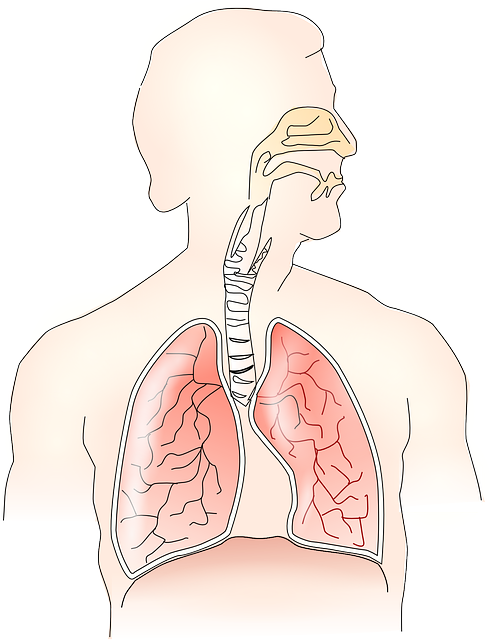 (하비갑개 비대증이란?)