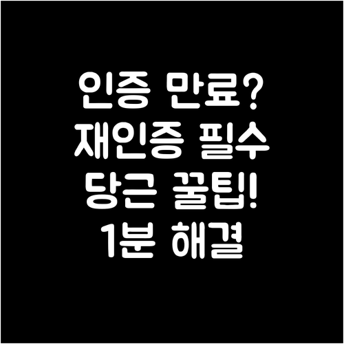 당근마켓 동네 인증 만료 시 재인증 ..