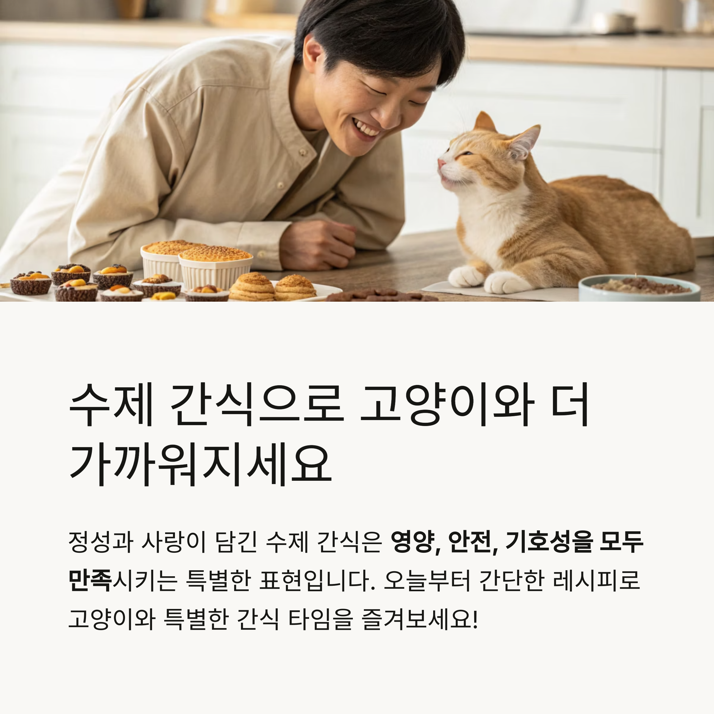 수제 간식으로 고양이와 더 가까워 지세요