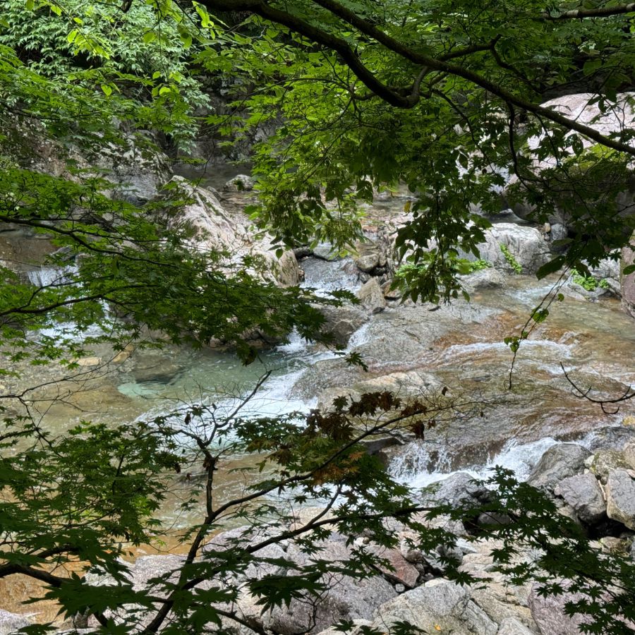 지장산계곡