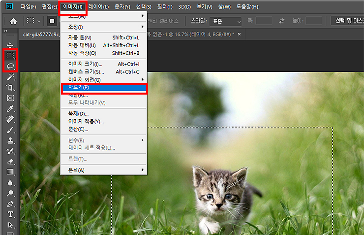 포토샵-이미지-자르기-메뉴-선택-장면