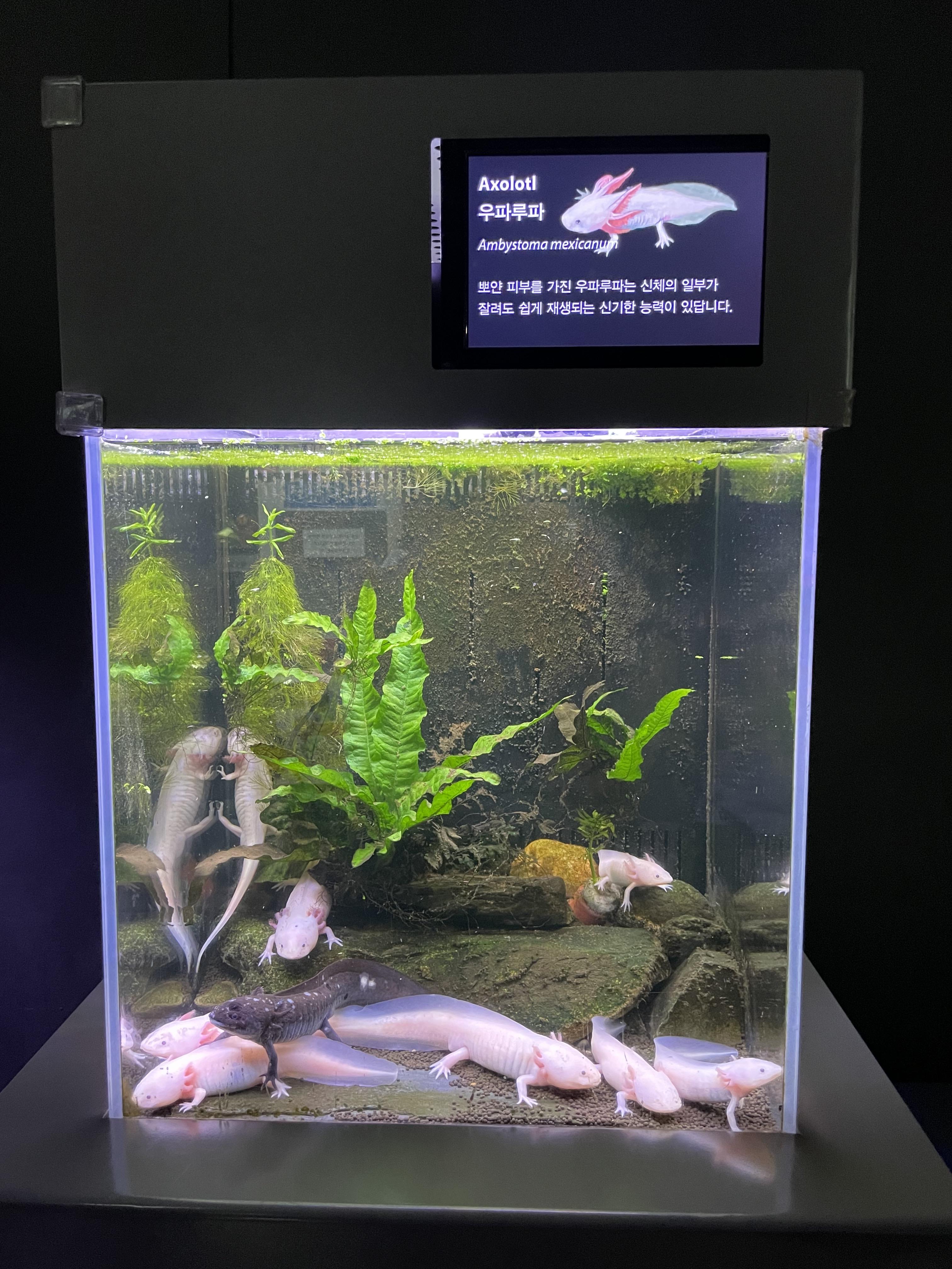 여수 아쿠아플라넷