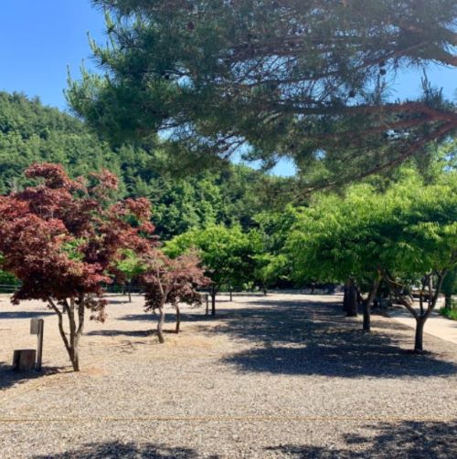 캠핑장-사이트