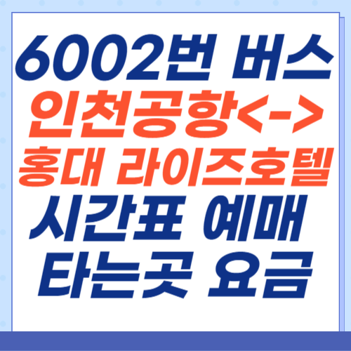 6002번-공항버스-인천공항-홍대라이즈호텔