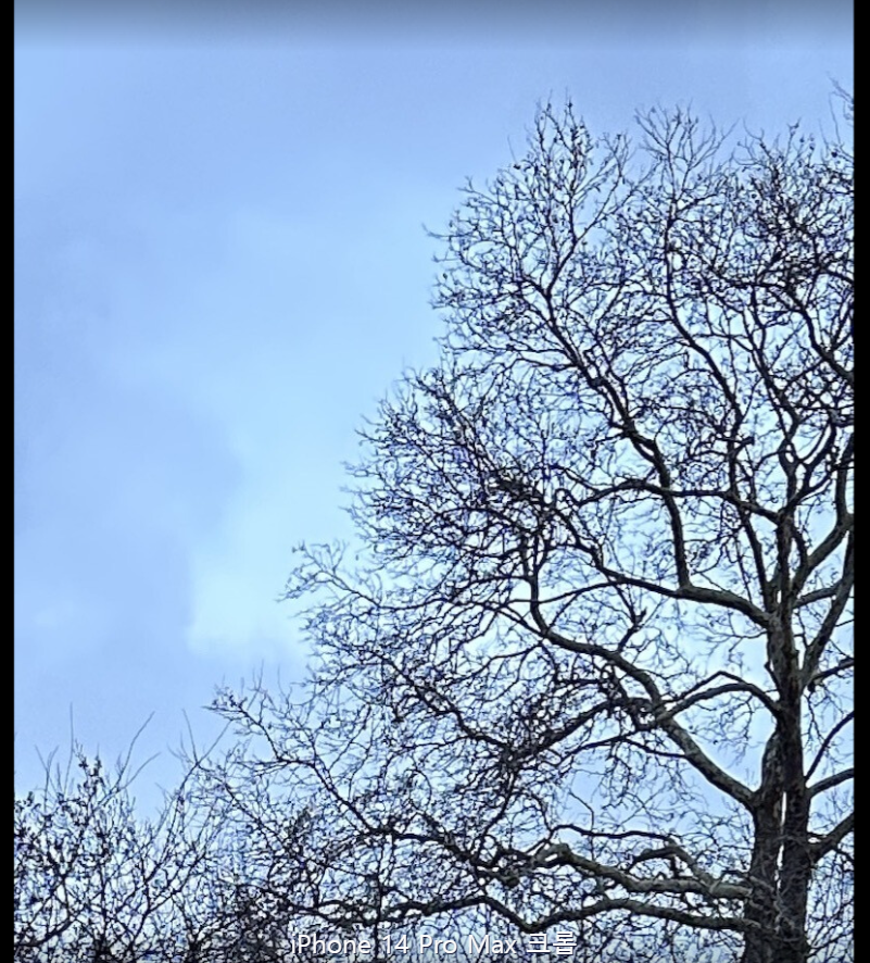 아이폰 14 프로 맥스 카메라 사진 크롭