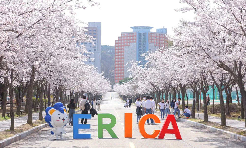 한양대 에리카 축제