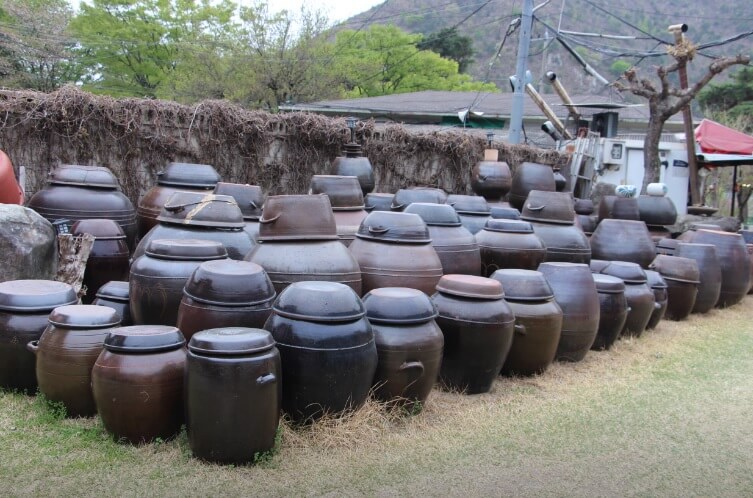 생생정보 할매 밥 됩니까 대구 옥포 시래기된장찌개 맛집 솔밭생수식당