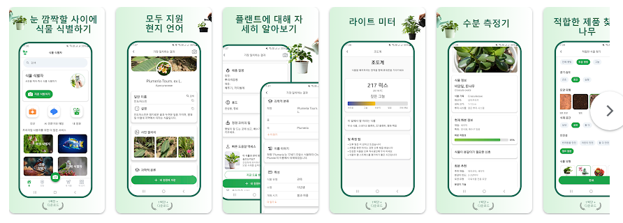 식물 이름 찾기 어플, 어플 다운로드 하고 식물이름 찾기