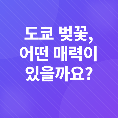 도쿄 벚꽃 여행_1