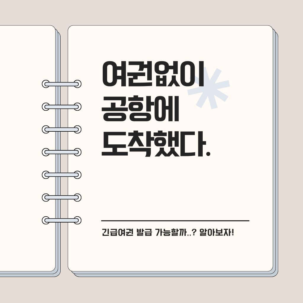 여권없을때 대처법