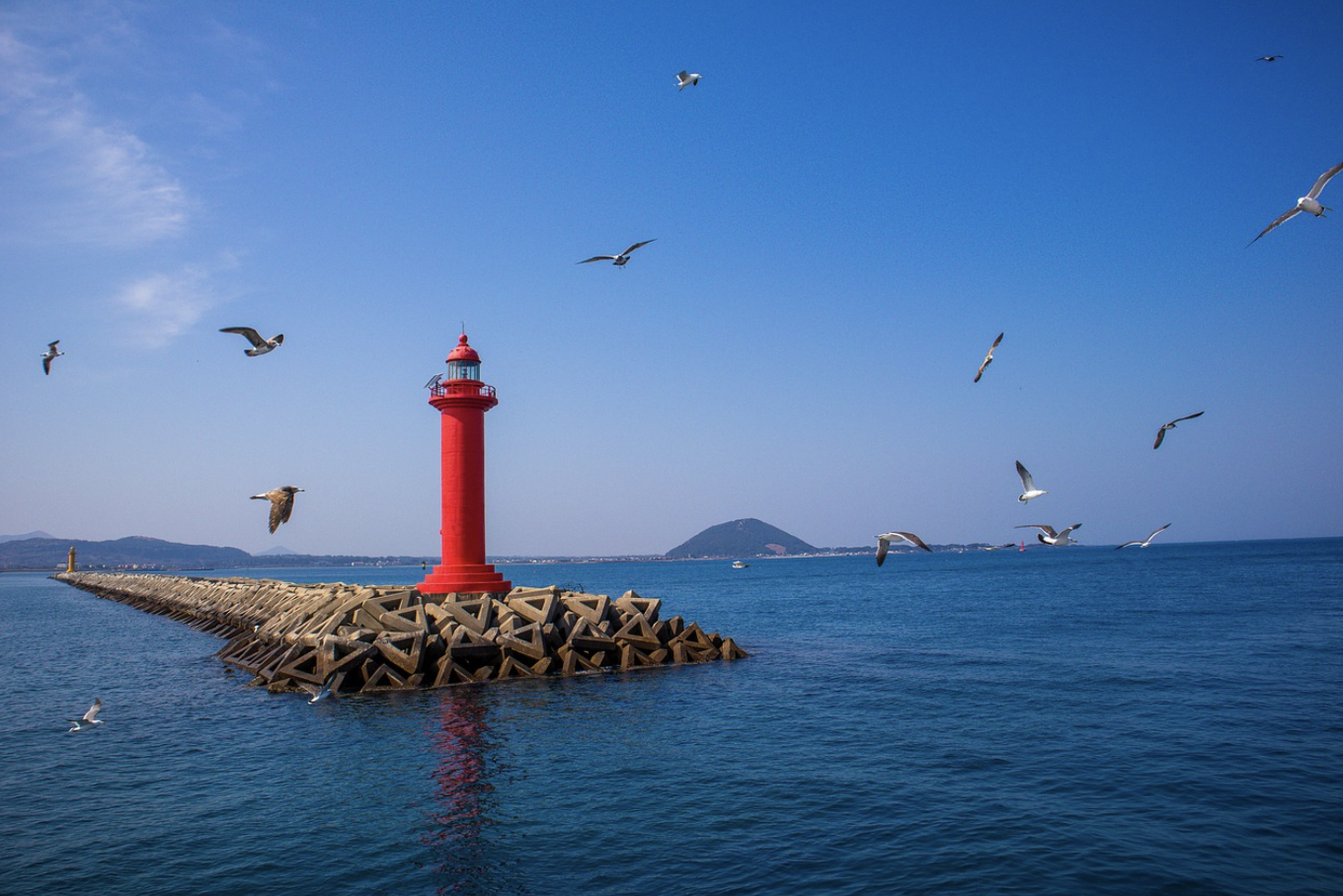 제주도 관련 사진