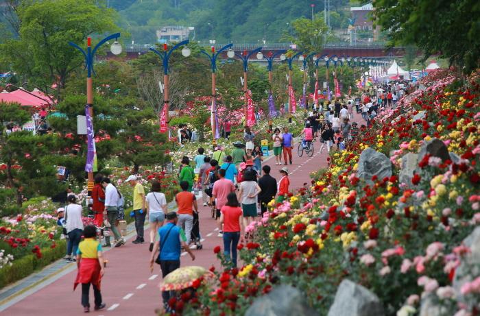 2025 삼척 장미축제