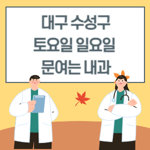 대구 수성구 토요일 일요일 내과 진료 문여는 병원