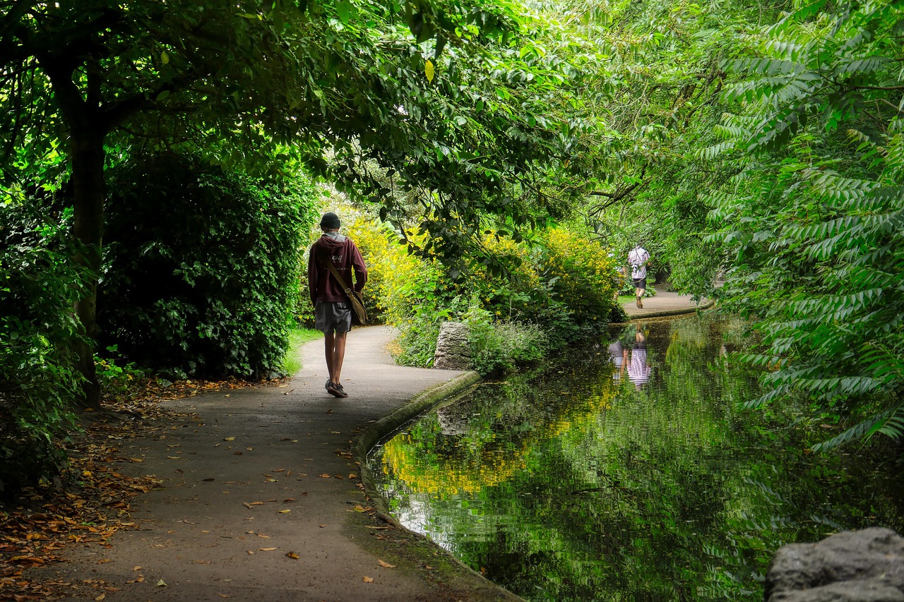 조용한 공원을 걷다 문득 떠오른 생각 관련 사진