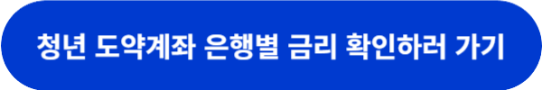 청년도약계좌