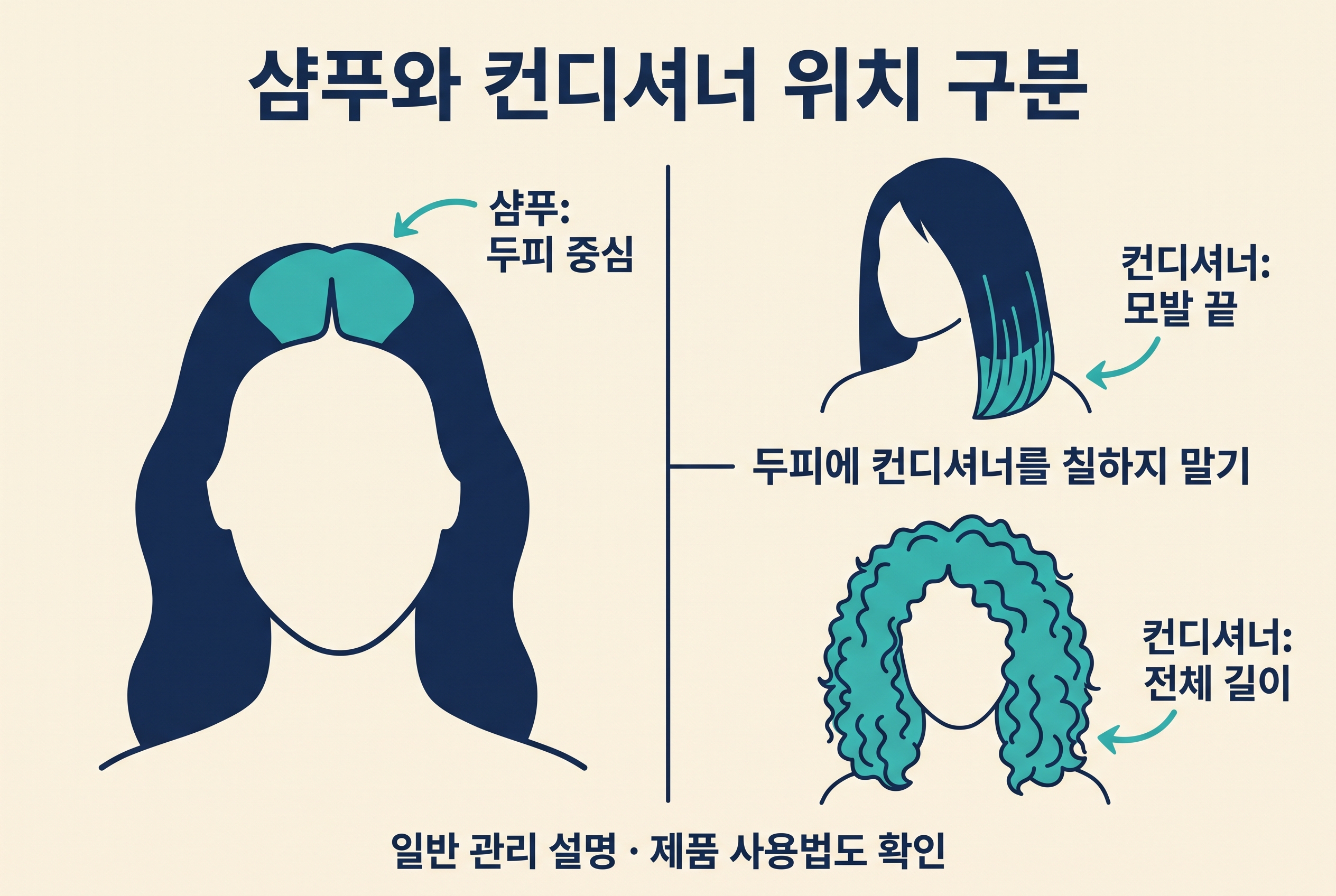 샴푸는 두피에, 컨디셔너는 모발 끝 또는 전체 길이에 바르는 위치를 구분한 도식.