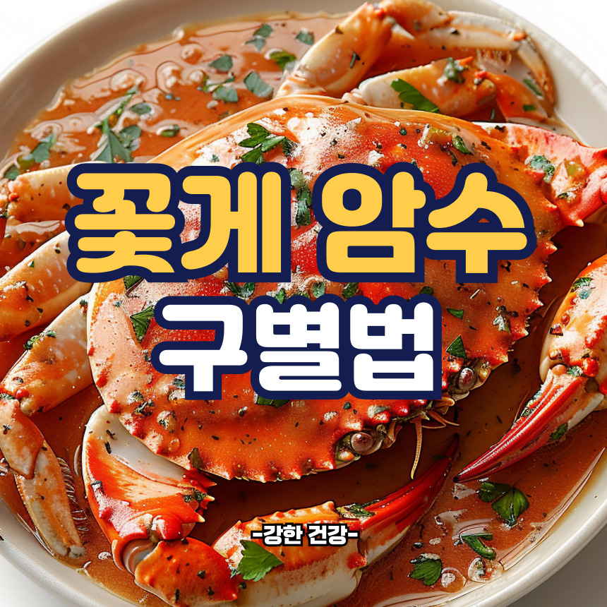 꽃게 암수 구별