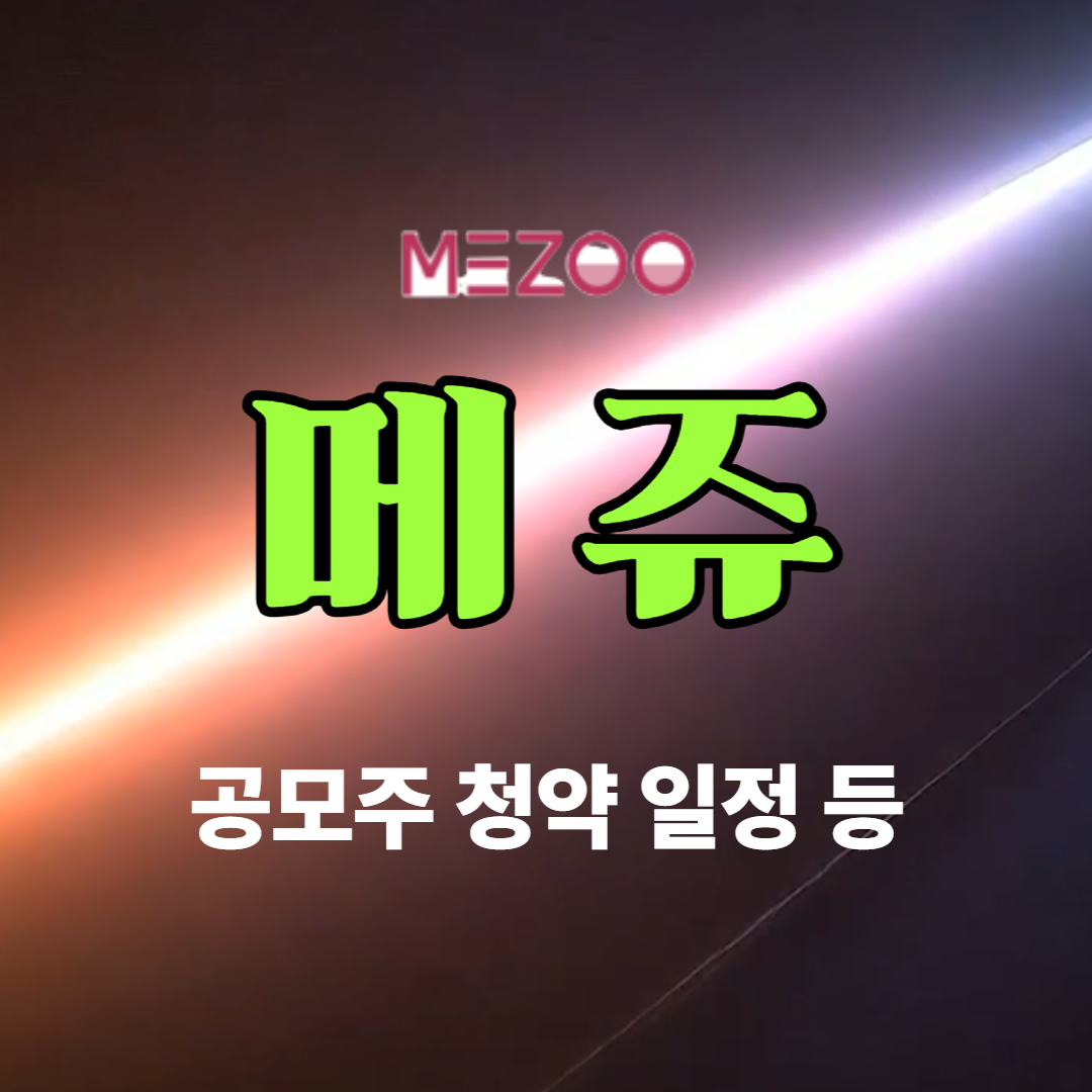 메쥬 공모주
