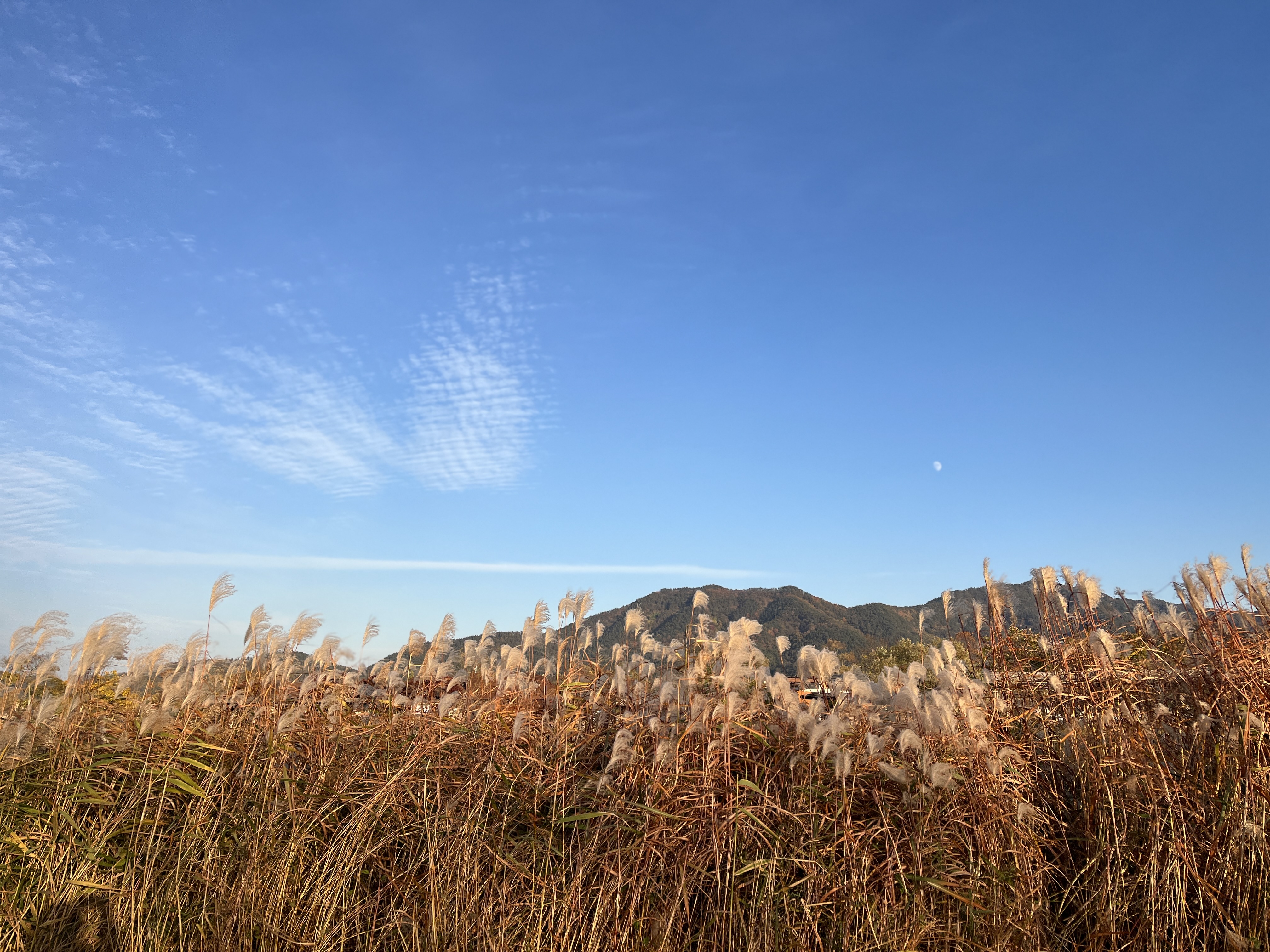 순천 여행 숙소 리조트 추천