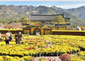 11월 단풍축제 가볼만한곳 BEST 10