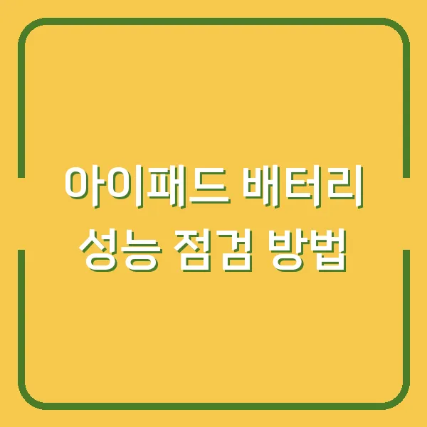 아이패드 배터리 성능 점검 방법