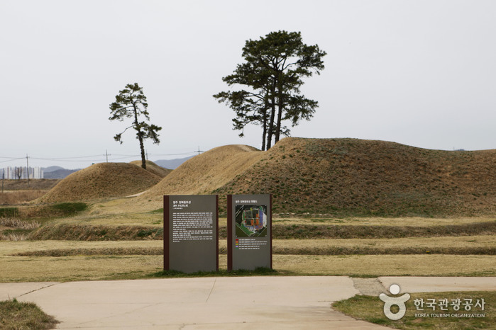 청주 가볼만한곳 베스트10
