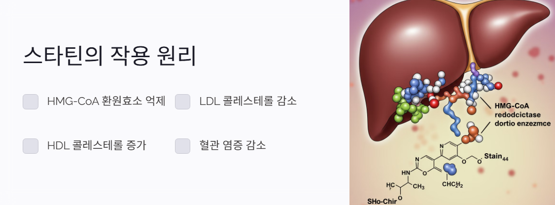 스타틴 작용 원리