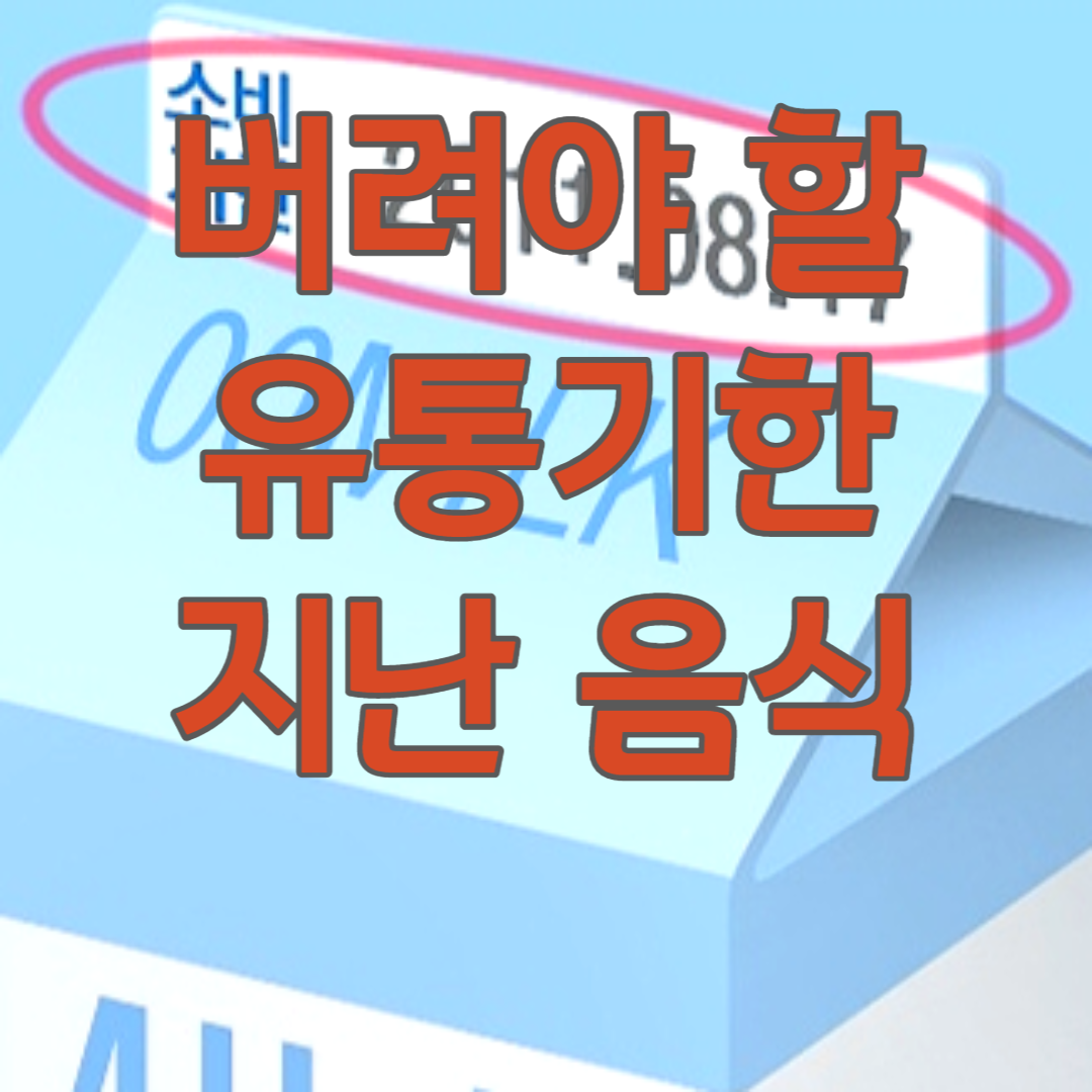 버려야 할 유통기한 지난 음식