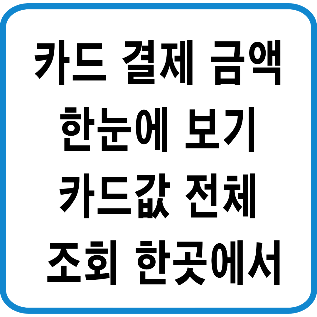 카드 결제 금액 한눈에 보기 ❘ 카드값 전체 조회 한곳에서