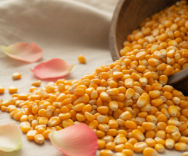 멜라토닌 많은 음식