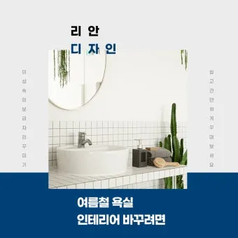 여름철 욕실 세균 곰팡이 청소 끝 관리법과 예방 팁 완벽 위생 가이드_11