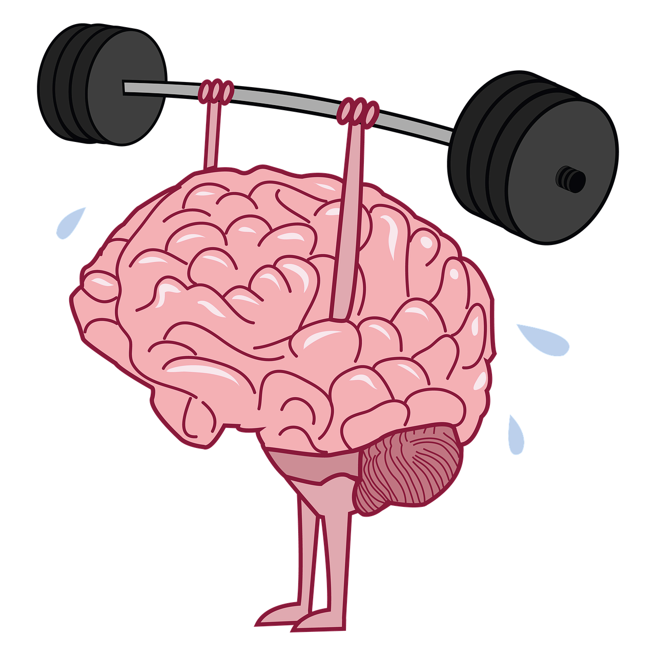 나이가 들수록 뇌는 어떻게 변할까? 노화에 따른 뇌 변화와 대처법