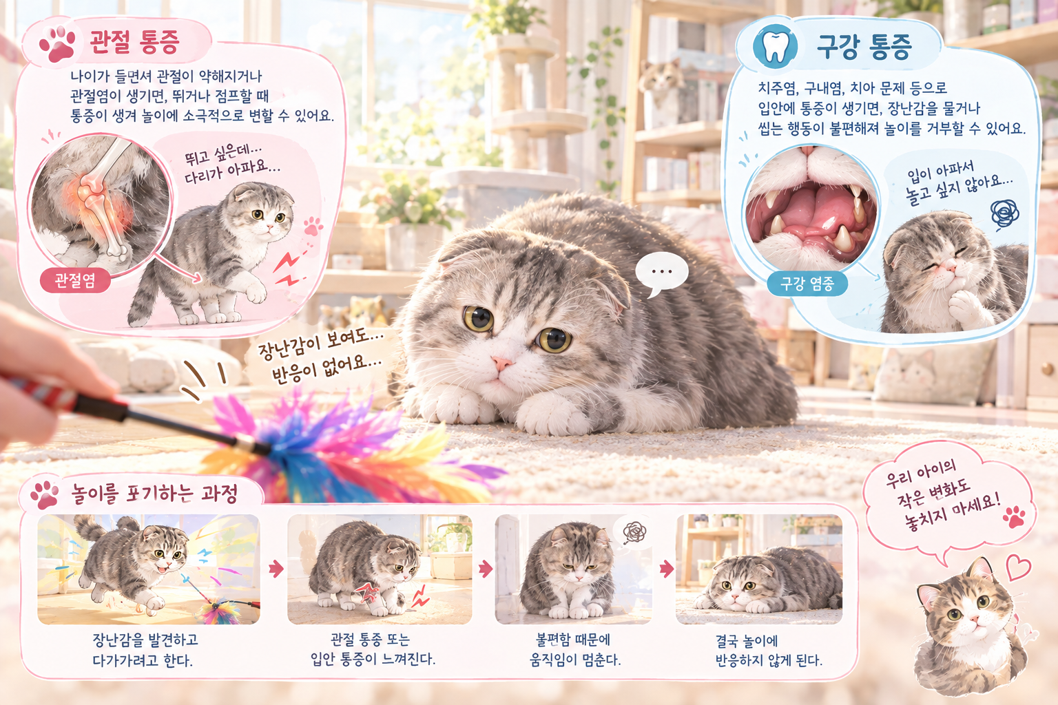 관절이나 구강 통증으로 인해 장난감을 쫓지 못하는 고양이의 상태 일러스트