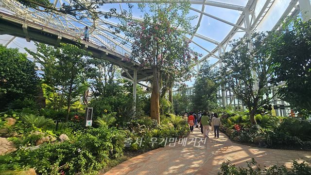 24년 순천만 국가정원 식물원 동문 순천여행