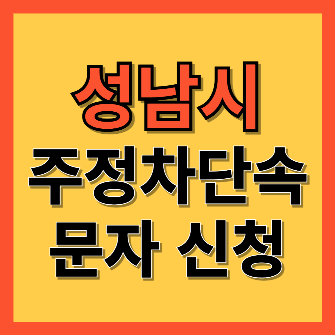 성남시 주정차 단속 알림 서비스 신청 방법 ❘ 주차단속 문자알림서비스