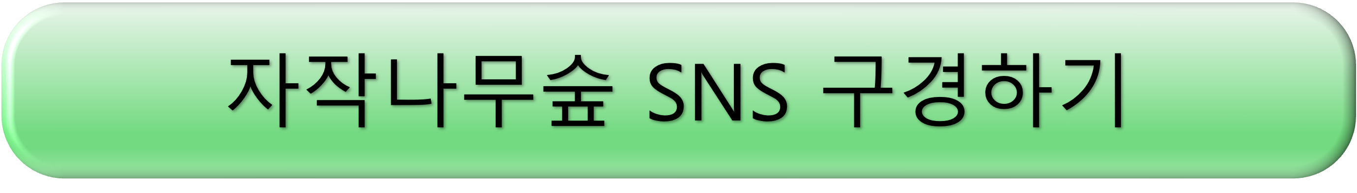 용인 자작나무숲 봄꽃 축제