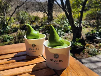 제주 오설록 티뮤지엄 관람 팁과 근처 카페 안내_8